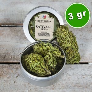 Canapa Light - L'Inarrestabile Tendenza dell'Erba Legale.
